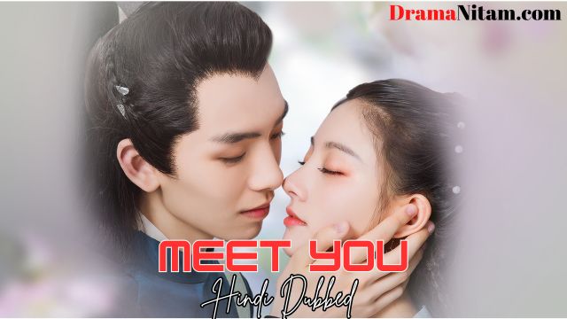 Meet You (Hindi Dubbed) | Complete | DramaNitam