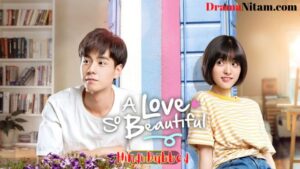A Love So Beautiful (Hindi Dubbed) | Complete | DramaNitam