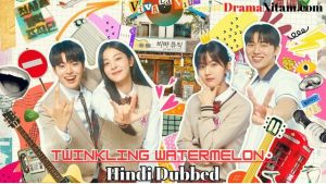 Twinkling Watermelon (Hindi Dubbed) | Complete | DramaNitam