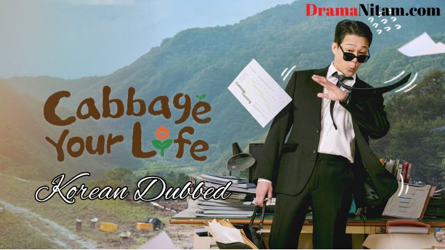 Cabbage Your Life (korean Dubbed) | Complete | DramaNitam