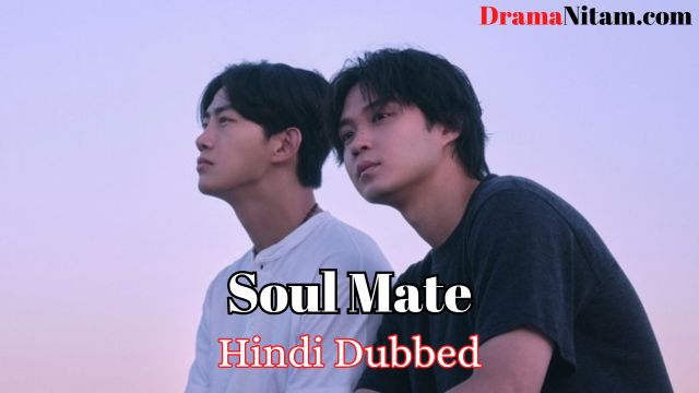 Soul Mate (Hindi Dubbed) | Complete | DramaNitam